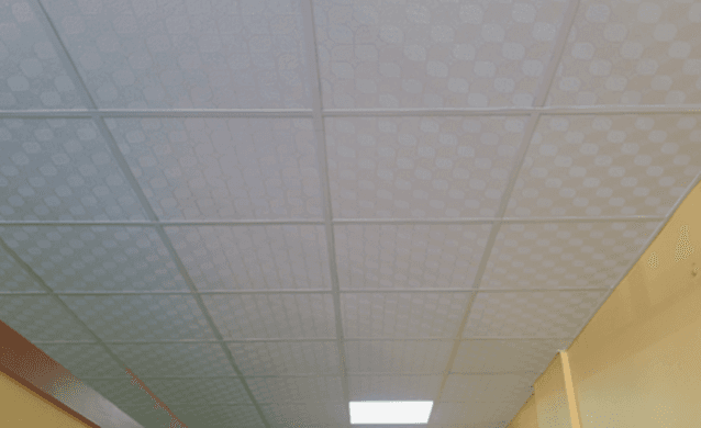 karolam-tavan-alcipanankaracom